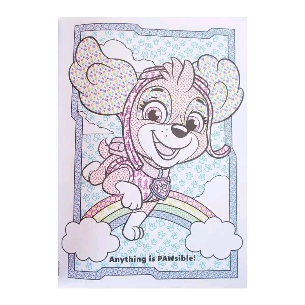 Paint with Water Paintbrush Dreamtivity Paw Patrol Painting Pup-tastic Painting